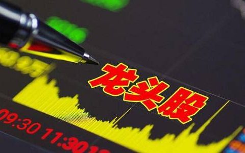 国际期货哪种好